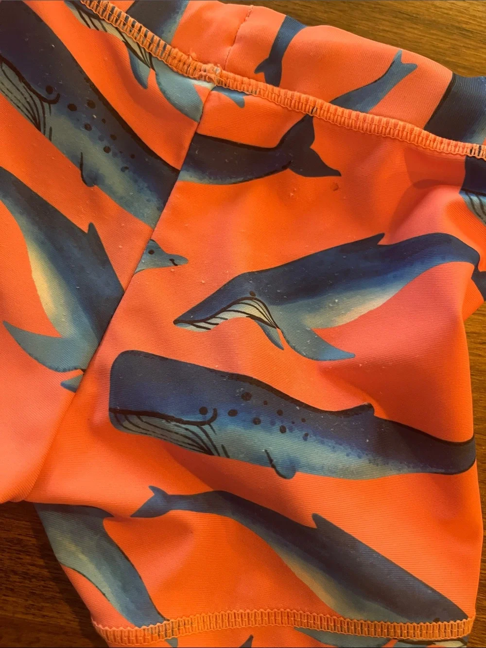 Snapperrock Boys Swim Trunks